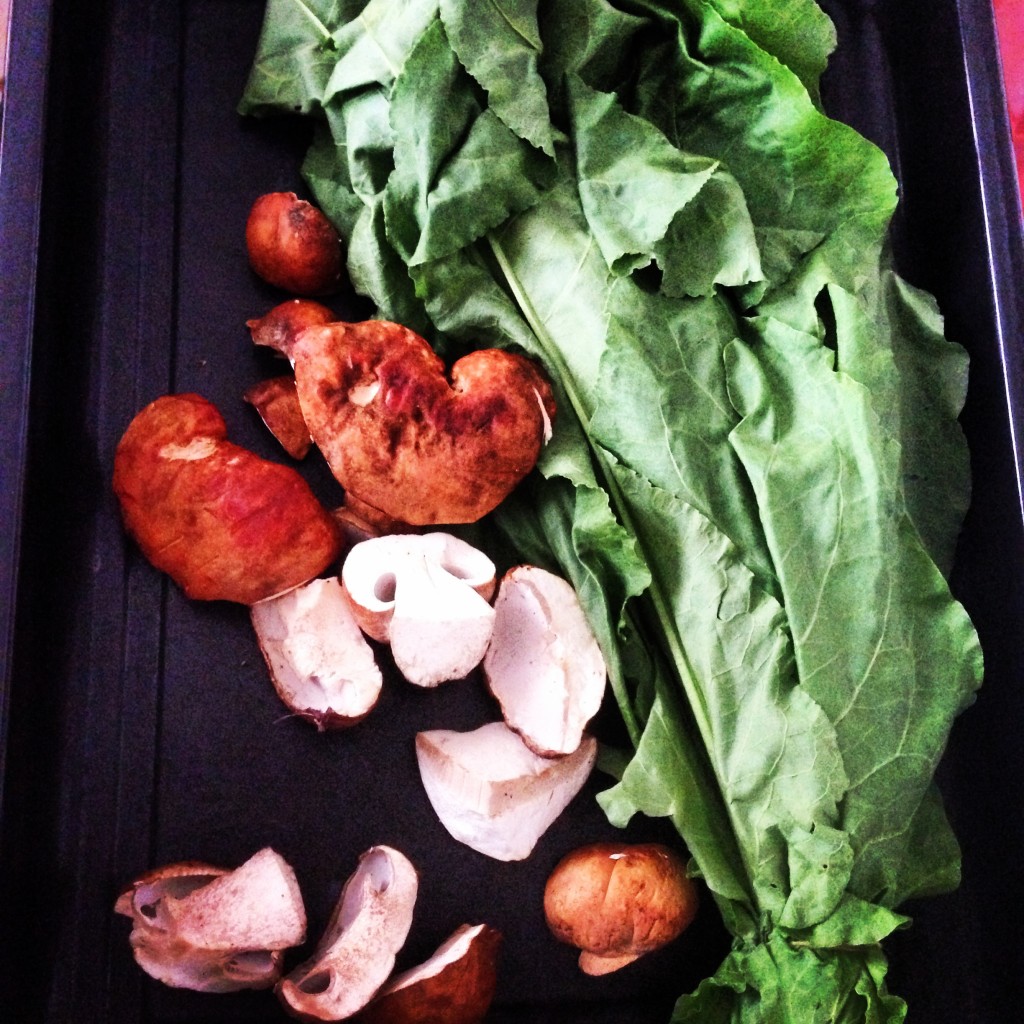wild mushrooms and greens for optimal vitamin D levels