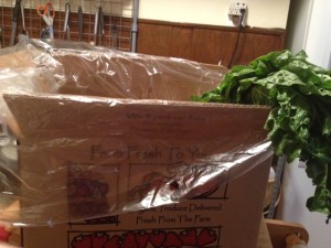 csa farm veggie delivery box