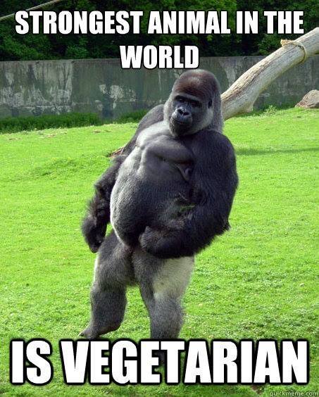 strongest animal is vegetarian 